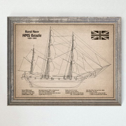 HMS Beagle Tall Ship - Scheepsblauwdruk SD Poster