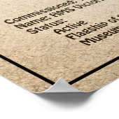 HMS Victory - Scheepsblauwdruk Plannen SD Poster (Hoek)