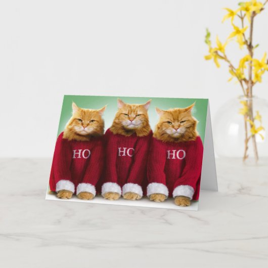 Ho Ho Ho Drie Katten Vrolijk Kerst Wenskaart Kaart (Gele Bloem)