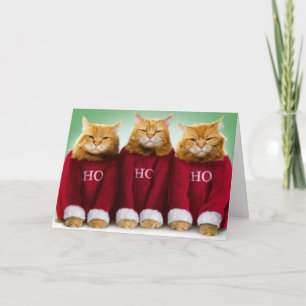 Ho Ho Ho Drie Katten Vrolijk Kerst Wenskaart Kaart