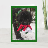 Ho Ho Ho Feestdagen Kaart (Voorkant)