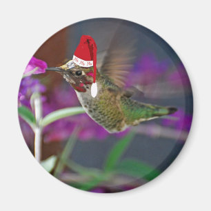 Ho Ho Ho Hummingbird Magneet