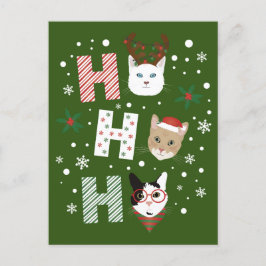 Ho Ho Ho Katten Prettig Kerstfeest Feestdagenkaart