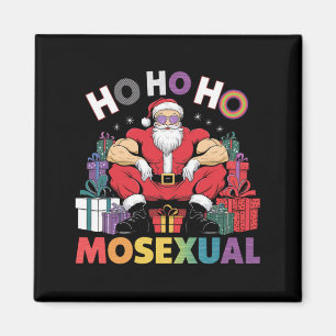 Ho Ho Ho Moseksueel Gay Kerstman LGBT Gay Pride Ke Magneet