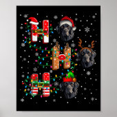 Ho Ho Ho Santa Hat Elf Matching Labrador Retriever Poster (Voorkant)