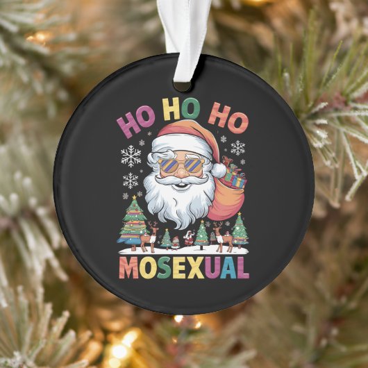 Ho Ho Homoseksuele kerstkerstkerstfeestdag Gay Pri Ornament (Boom)