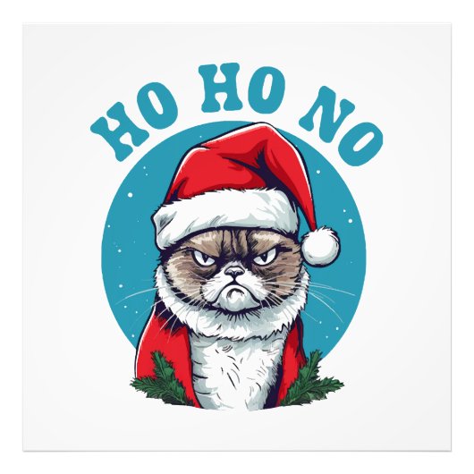 Ho ho nee - grappige chagrijnige sintel kat foto afdruk (Voorkant)