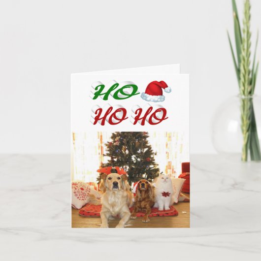 Ho Ho Santa Hat Kerstfotoscript Feestdagen Kaart (Voorkant)