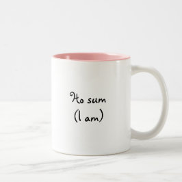 Ho sum- Mok