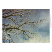 Hoar Frost, gelukkig nieuwjaar! (Voorkant Horizontaal)