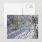Hoar frost Markeaton Derby.UK.2012 Briefkaart (Voorkant / Achterkant)