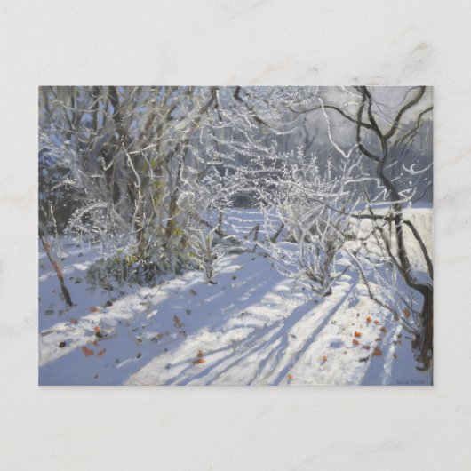 Hoar frost Markeaton Derby.UK.2012 Briefkaart (Voorkant)