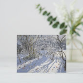 Hoar frost Markeaton Derby.UK.2012 Briefkaart (Staand voorkant)