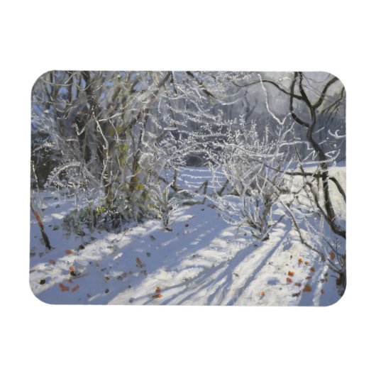 Hoar frost Markeaton Derby.UK.2012 Magneet (Horizontaal)