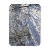 Hoar frost Markeaton Derby.UK.2012 Magneet (Verticaal)