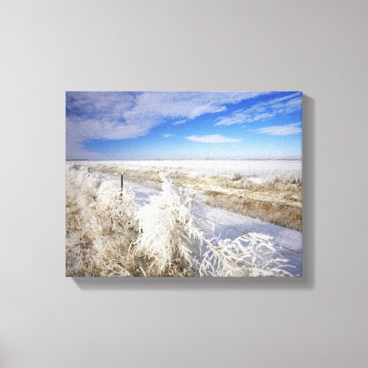 Hoarfrost bedekt tumbleweed en fenceline nabij canvas afdruk (Voorkant)