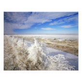 Hoarfrost bedekt tumbleweed en fenceline nabij foto afdruk (Voorkant)