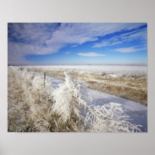 Hoarfrost bedekt tumbleweed en fenceline nabij poster