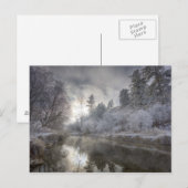 Hoarfrost langs een hoest op het eiland Kelly Briefkaart (Voorkant / Achterkant)