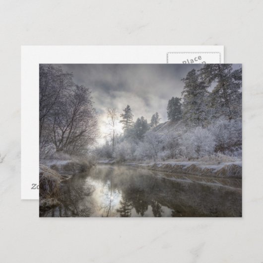 Hoarfrost langs een hoest op het eiland Kelly Briefkaart (Voorkant / Achterkant)