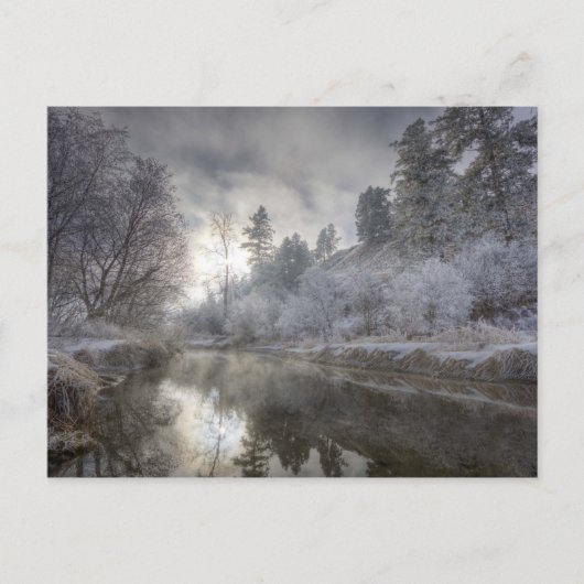 Hoarfrost langs een hoest op het eiland Kelly Briefkaart (Voorkant)