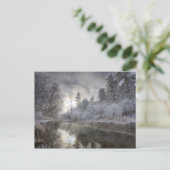 Hoarfrost langs een hoest op het eiland Kelly Briefkaart (Staand voorkant)