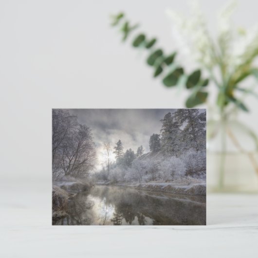 Hoarfrost langs een hoest op het eiland Kelly Briefkaart (Staand voorkant)