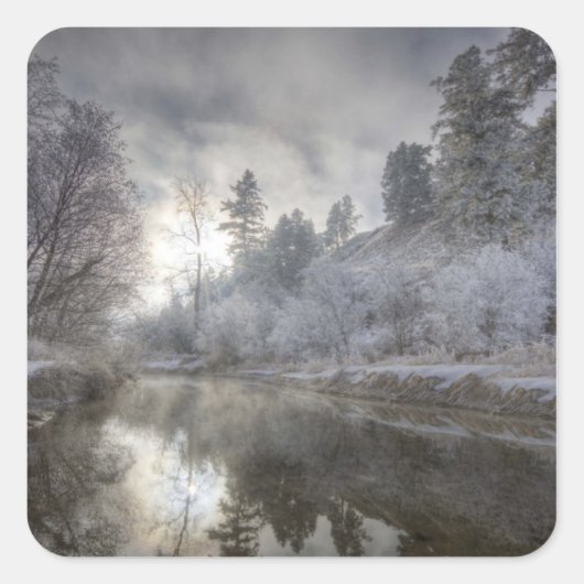 Hoarfrost langs een hoest op het eiland Kelly Vierkante Sticker (Voorkant)