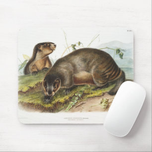 Hoary Marmot Camping Deco Gifts Muismat