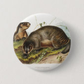 Hoary Marmot Camping Deco Gifts Ronde Button 5,7 Cm (Voorkant)