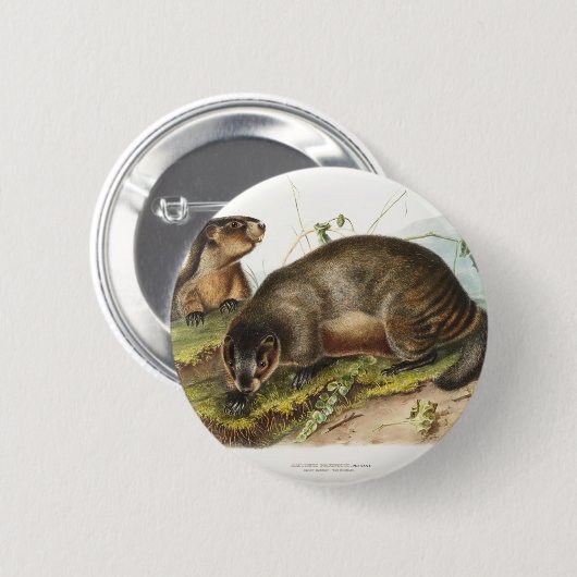 Hoary Marmot Camping Deco Gifts Ronde Button 5,7 Cm (Voorkant /achterkant)