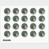 Hoary Marmot Ronde Sticker (Vel)