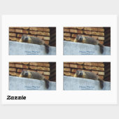 Hoary Marmot (Whistler) Wildlife Sticker (Vel)