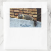 Hoary Marmot (Whistler) Wildlife Sticker (Tas)