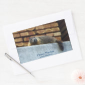 Hoary Marmot (Whistler) Wildlife Sticker (Envelop)