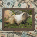 Hoary Marmot Wildlife Foto Drievoud Portemonnee<br><div class="desc">Voor natuur fans! Beveilig geld en creditcards met deze portemonnee met het foto-afbeelding van een Hoary Marmot. Selecteer uw portemonnee kleur.</div>