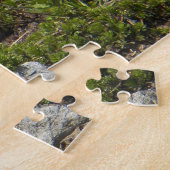 Hoary Marmot Wildlife Foto Legpuzzel (Zijkant)