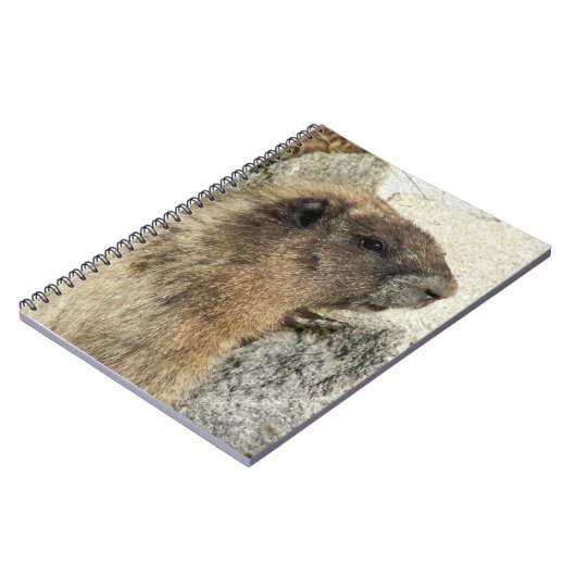 Hoary Marmot Wildlife Foto Notitieboek (Linkerzijde)