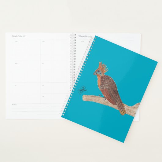 HOATZIN PLANNER (Display)
