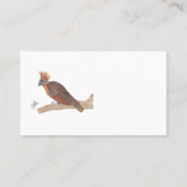 HOATZIN VISITEKAARTJE (Achterkant)