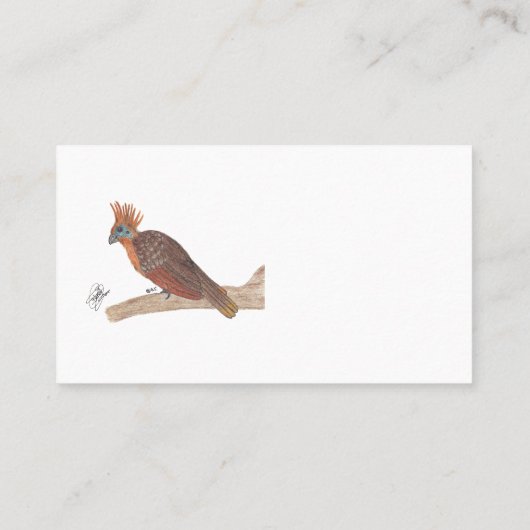 HOATZIN VISITEKAARTJE (Achterkant)