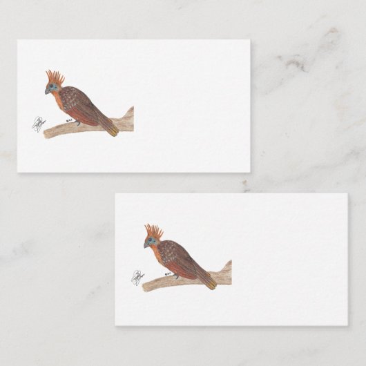 HOATZIN VISITEKAARTJE (Voorkant / Achterkant)