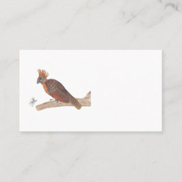 HOATZIN VISITEKAARTJE