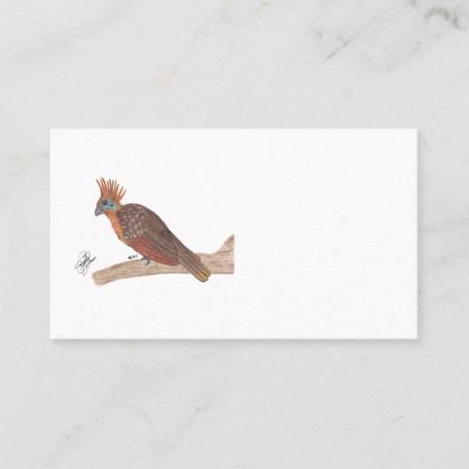 HOATZIN VISITEKAARTJE (Voorkant)