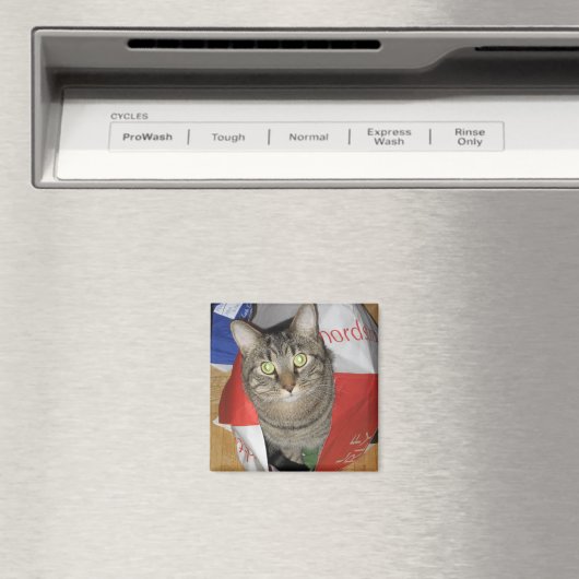 Hobbes Magneet (Insitu (Vaatwasser))