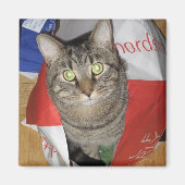 Hobbes Magneet (Voorkant)