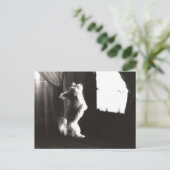 Hobbitt Briefkaart (Staand voorkant)