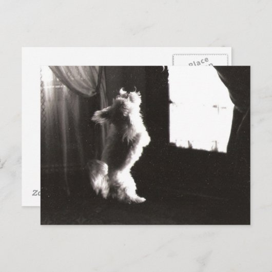 Hobbitt Briefkaart (Voorkant / Achterkant)