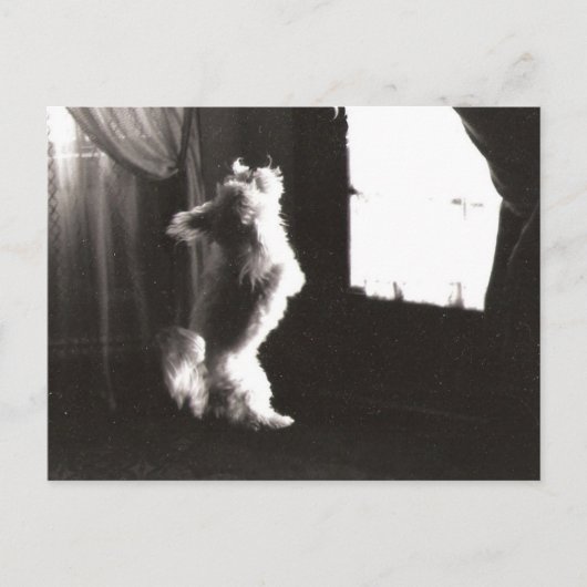 Hobbitt Briefkaart (Voorkant)