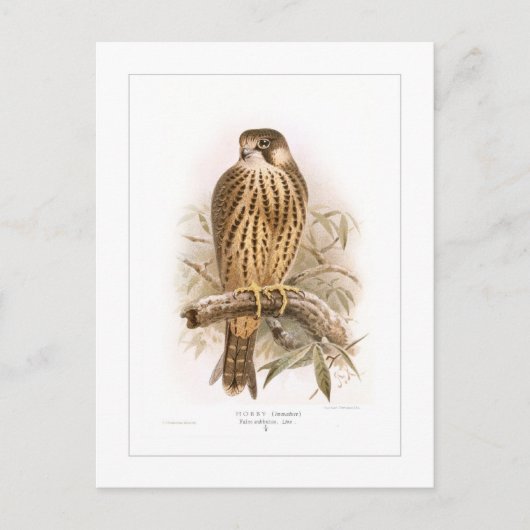 Hobby Briefkaart (Voorkant)